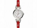 FOSSIL WATCH - ES4119