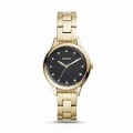 FOSSIL WATCH - BQ3434 - ONE SIZE