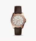 FOSSIL WATCH - BQ3383 - ONE SIZE