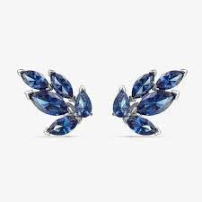 Swarovski Earring - Czsap/Rhs - 5536549