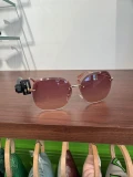 Longchamp Sunglasses - 55065LUML06 - One Size
