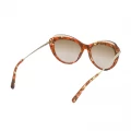 Longchamp Cat Eye Sunglasses - Brown Multi - 55 mm - LO617S 55018LUAD51
