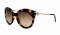 Longchamp Sunglasses LO604S - Brown Multi - 55001LUI268