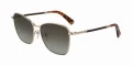Longchamp Sunglasses - Gold/Bourbon - 55 mm 55037LUMD14