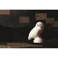 LE CREUSET HARRY POTTER COLLECTION HEDWIG PIE BIRD - WHITE - ONE SIZE