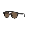 Giorgio Armani Sunglasses - AR8163 / BLK SHN - 51/21/145