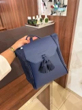 Longchamp Backpack - Blue - L1300861127