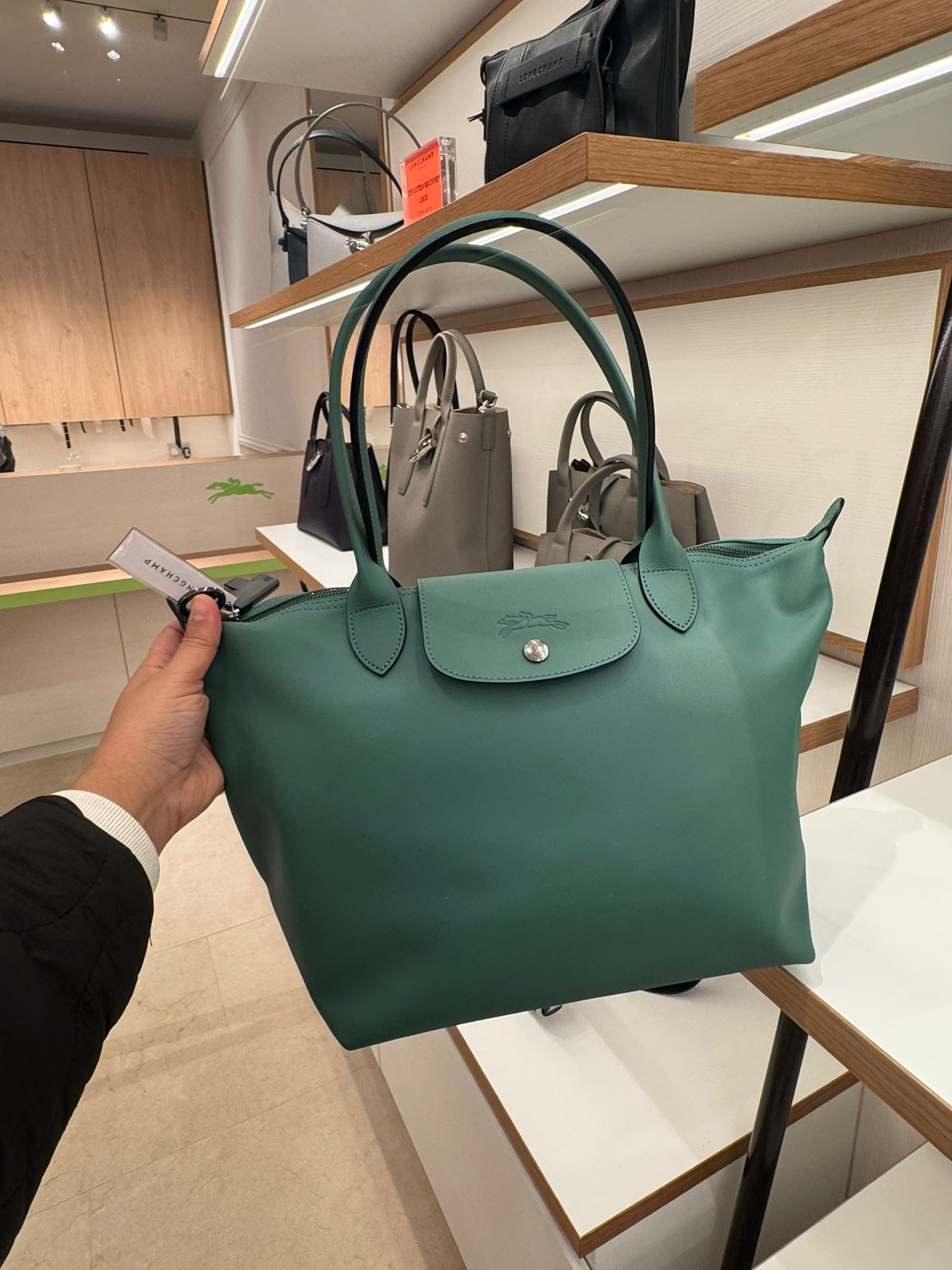 Longchamp Li Ciur Tote - Sage - L2605987D90