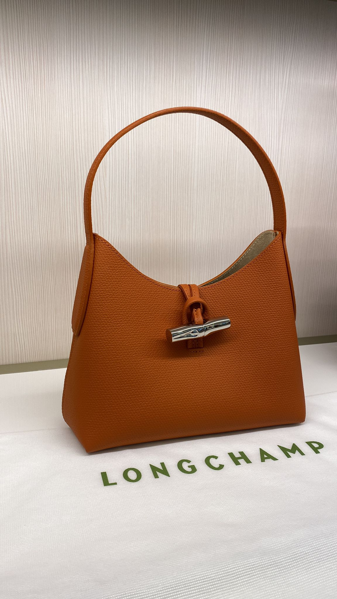 AzuraMart - Longchamp Roseau Shoulder Bag 10152HPN177 - Brick - Small