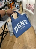 DKNY Hadlee - Sky - Small With Long Strap 25 x 21 x 10 cm