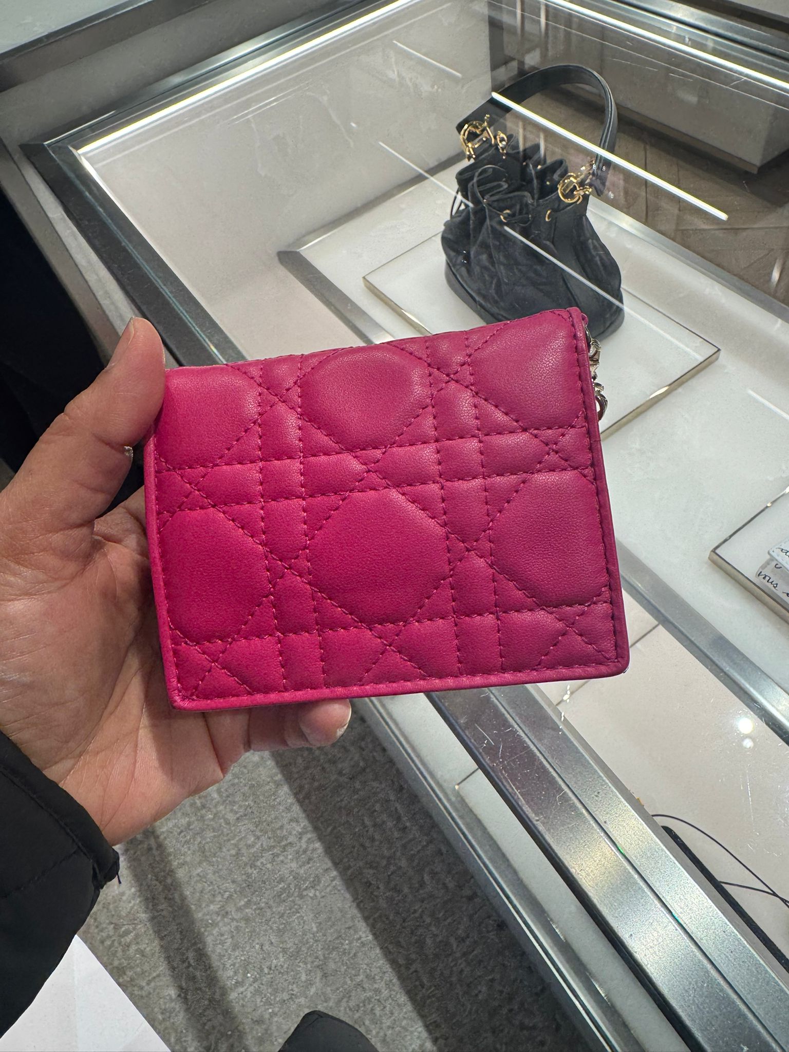 DIOR PURSE