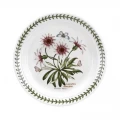 Portmeirion Botanic Garden Seconds Pasta Bowl - Treasure Flower - 8 Inch/ 20cm