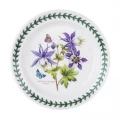 PORTMEIRION EXOTIC SECONDS PASTA BOWL - DRAGONFLY - 8 INCH/ 20CM
