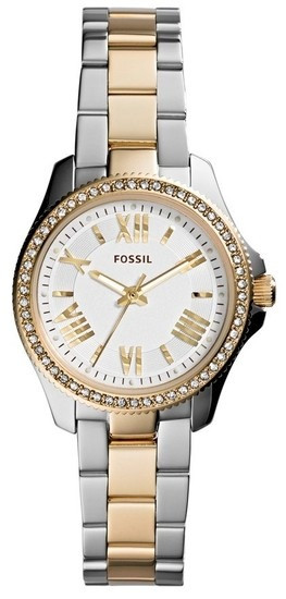 Fossil Watch - AM4579 - One Size