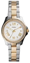 FOSSIL WATCH - AM4579 - ONE SIZE