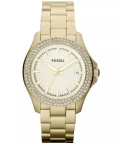 FOSSIL WATCH - AM4453 - ONE SIZE