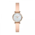 FOSSIL WATCH - BQ3894 - ONE SIZE