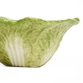 Mark & Spencer Cabbage Salad Bowl - Green - 26cm