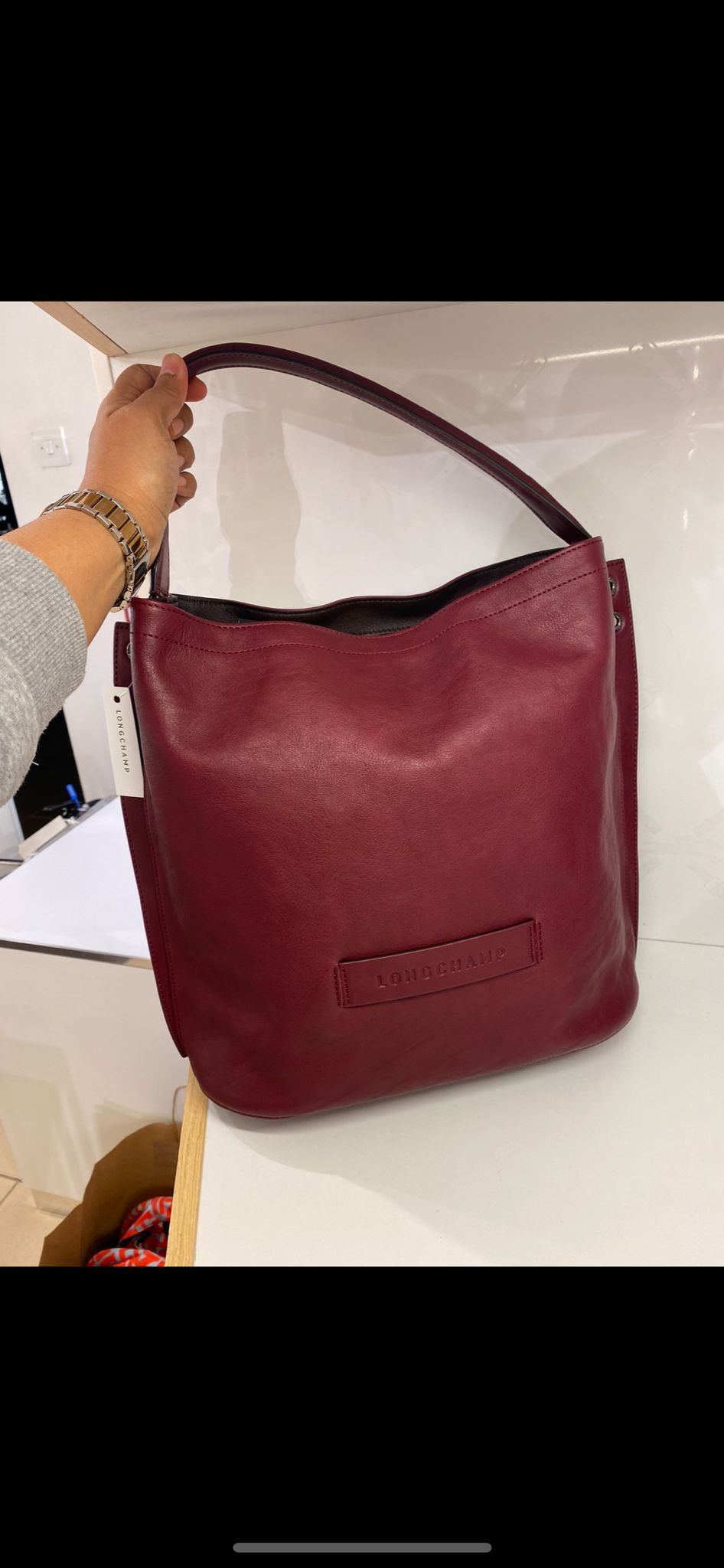 Longchamp 3d Hobo - Grape - L1768772P52